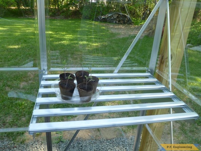 corner mounted palram shelf unit.palram 6x10 greenhouse project